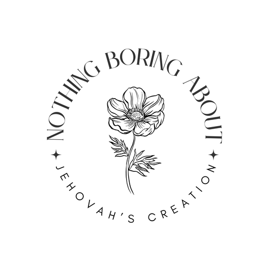 Blossom - Sticker