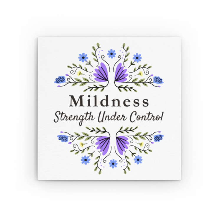 Mildness Microfiber Cloth