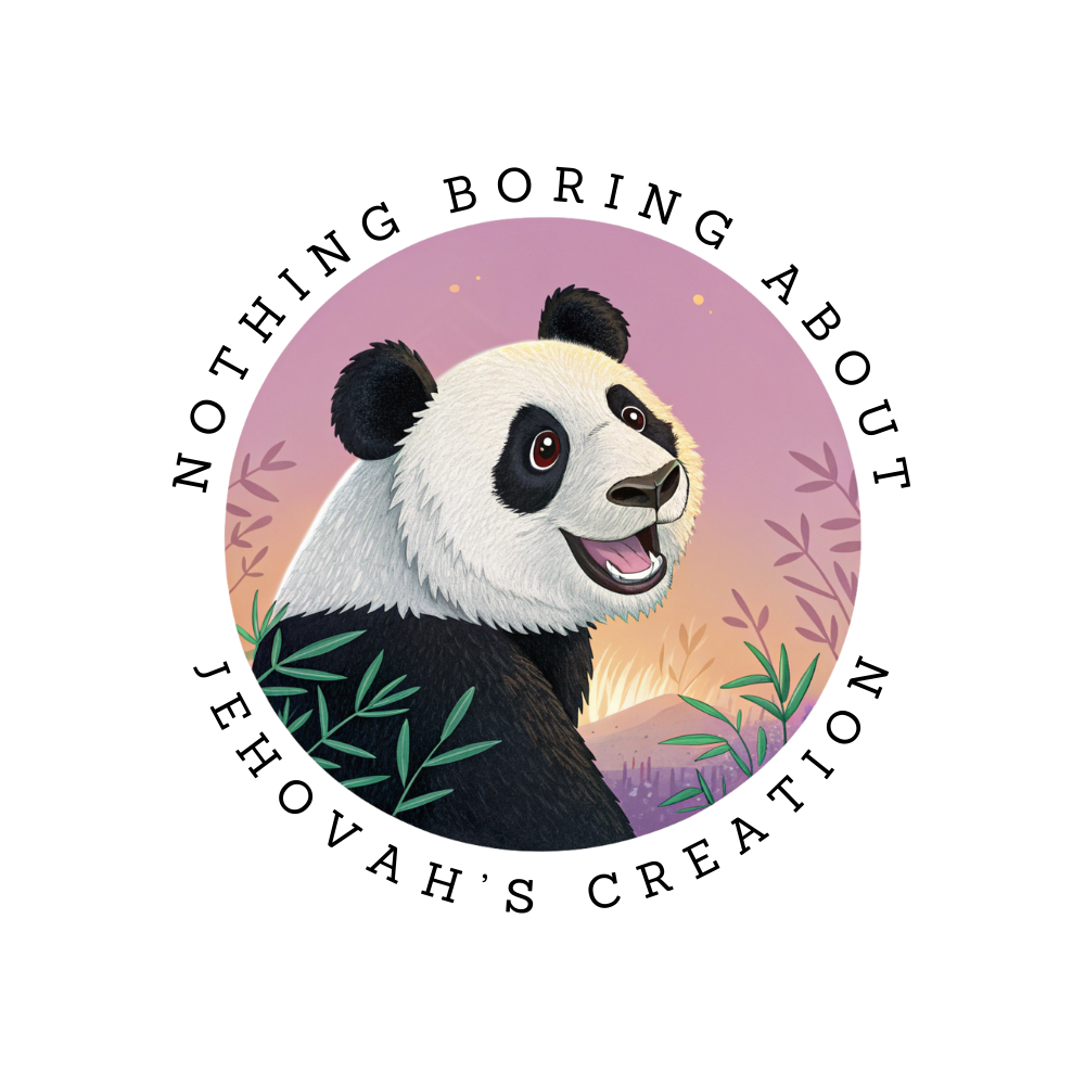 Bamboo the Bear Sticker