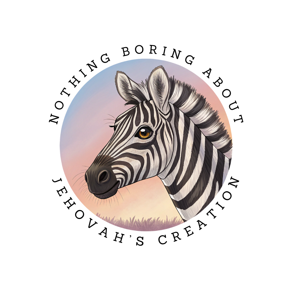 Debra the Zebra Sticker