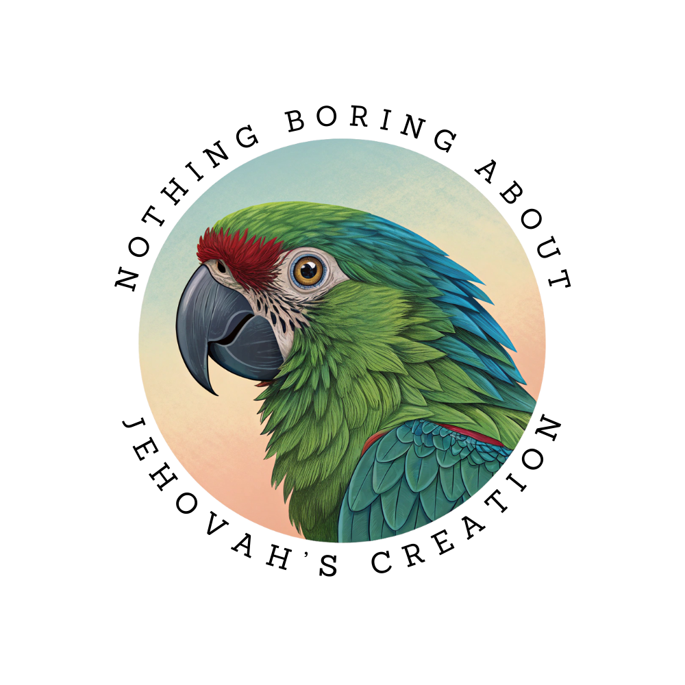 Mango the Macaw Sticker