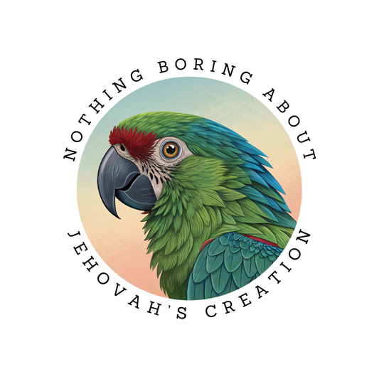 Mango the Macaw Sticker