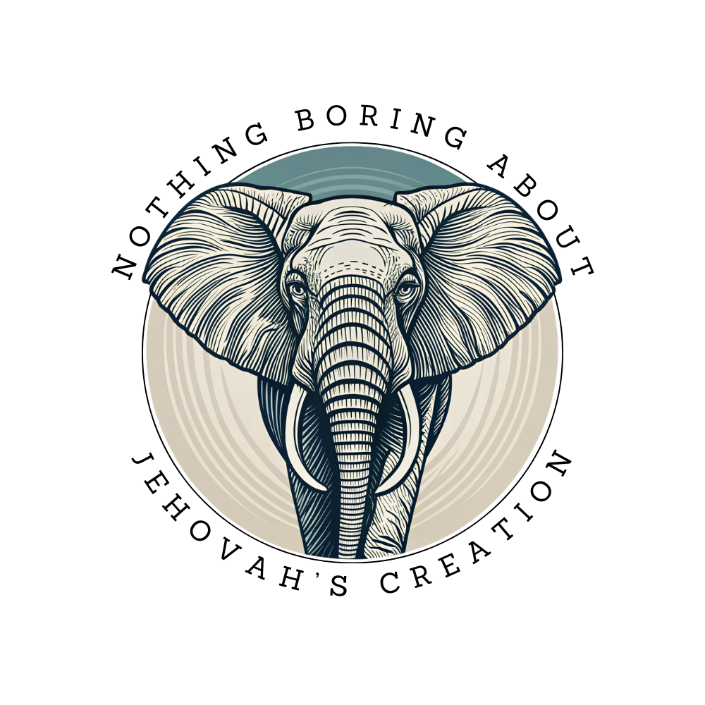 Mombasa the Elephant Sticker