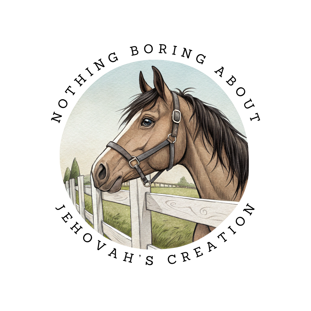 Sterling the Stallion Sticker