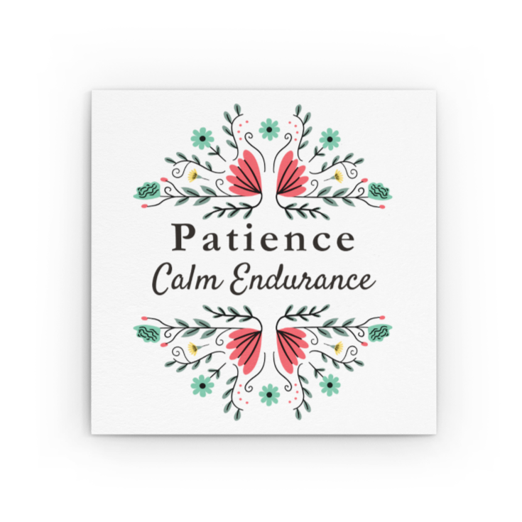 Patience Microfiber Cloth