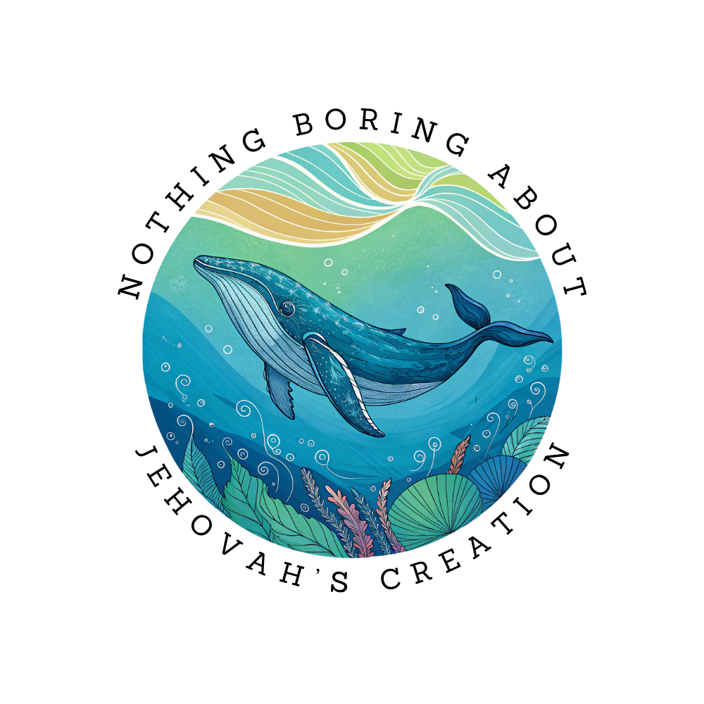 Nothing Boring About Jehovah's Creation