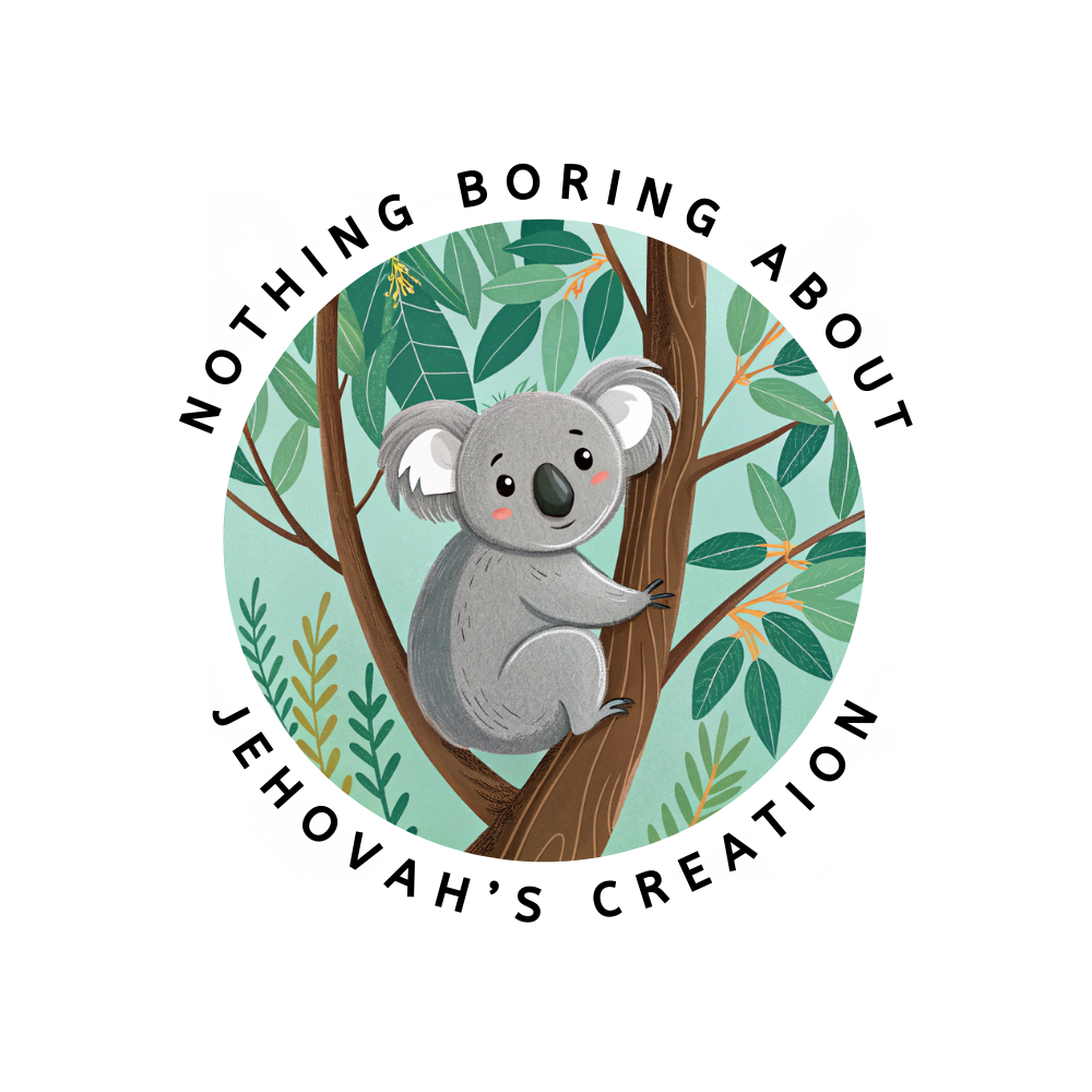 Sticker Bundle - Nothing Boring About Jehovah's Creation - 18 Stickers